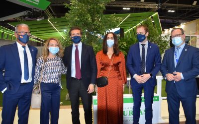 Mallada pide al Principado que respalde al sector turístico y no ponga “palos en la rueda” para lograr su recuperación