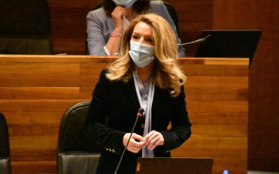 Mallada denuncia la “desfachatez” de Ribera tras sus declaraciones descartando mayor compensación por CO2 a la industria