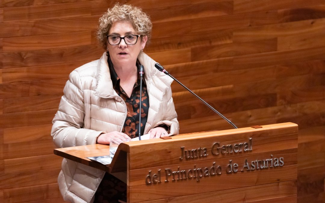 El PP urge al Gobierno de Barbón a dar una “alternativa” a los profesores técnicos interinos de FP para que sigan trabajando
