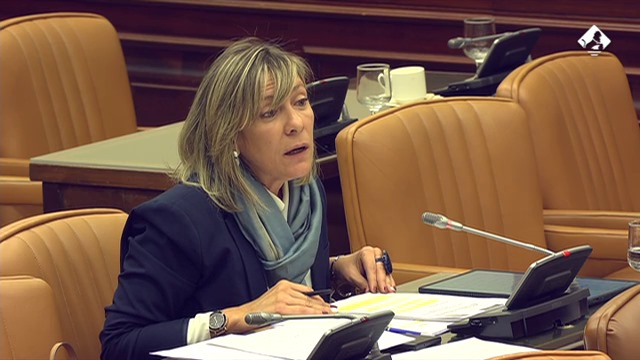El PP pregunta en el Congreso cuál es la verdadera razón por la que el Ministerio insiste en construir el vial de Jove en superficie porque “muchos asturianos no entienden nada de lo que pasa”