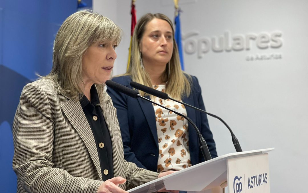 El PP pide ayudas en el Congreso para la implantación de los nuevos decodificadores HD de televisión por satélite en los hogares asturianos de la zona rural
