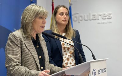 El PP pide ayudas en el Congreso para la implantación de los nuevos decodificadores HD de televisión por satélite en los hogares asturianos de la zona rural