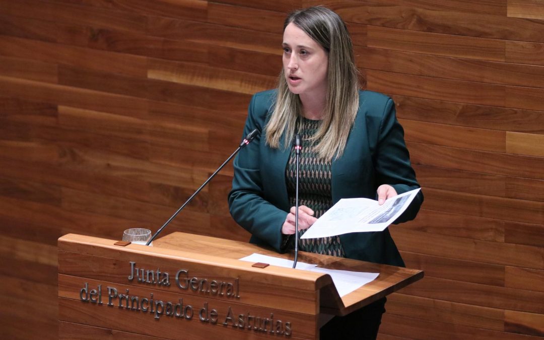 El PP acusa al Gobierno de Barbón de “dar la espalda” al medio rural asturiano al no sumarse a la petición de ayudas ante el apagón de la TDT