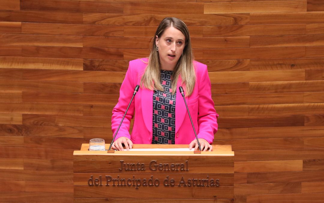 Luz verde a la propuesta del PP para rectificar los errores de la convocatoria de las ayudas por los incendios forestales