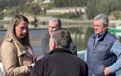 El PP insta al Gobierno regional a que atienda las demandas de los pescadores y actúe en el puerto pesquero y deportivo de San Juan dela Arena