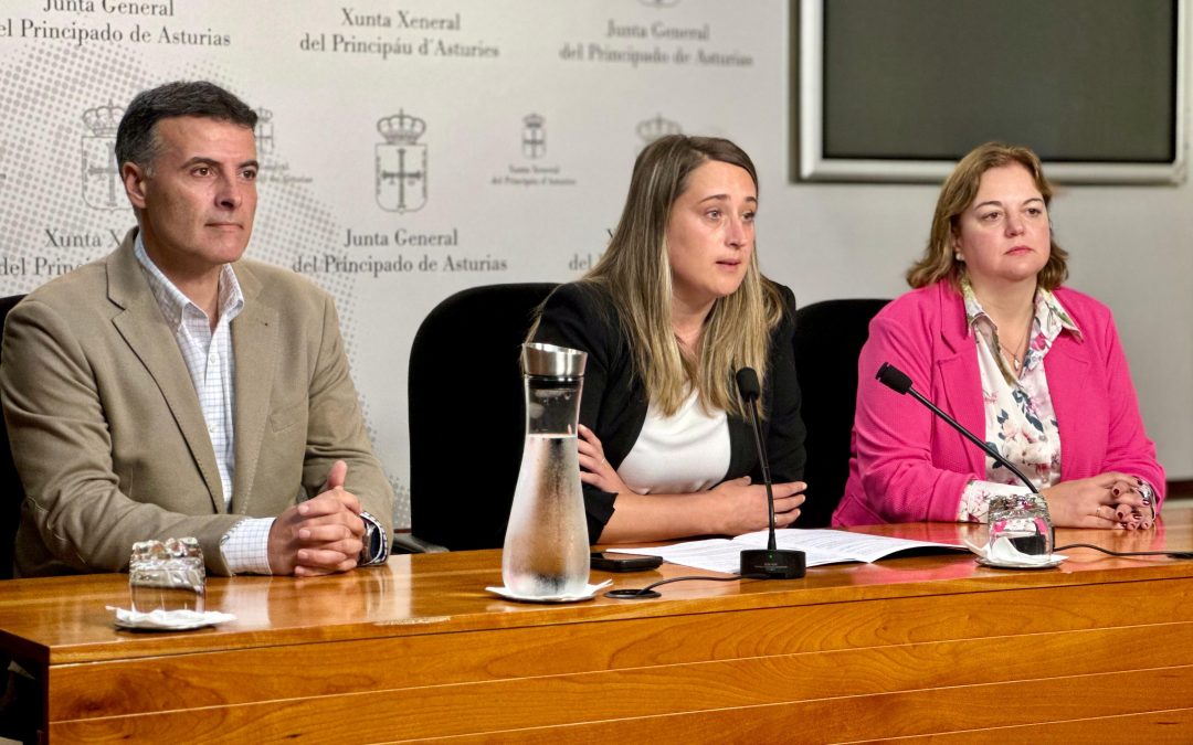 El Partido Popular acusa a Barbón de convertir el reto demográfico en un simple eslogan publicitario, carecer de estrategia y tomar a los asturianos por tontos con el engaño de las ayudas de la tarifa rural