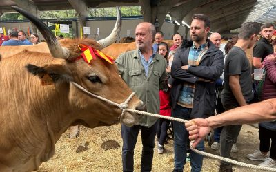 Álvaro Queipo denuncia que el Principado tarda 337 días en pagar los daños del lobo, y el 45% ni siquiera los abona: “La mala gestión de Barbón condena al campo asturiano”