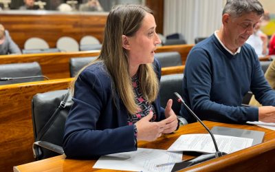 El PP consigue sacar adelante una proposición no de ley para mejorar la iluminación en carreteras y reducir la siniestralidad vial en Asturias