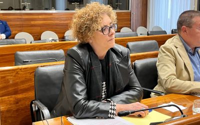El PP exige que la Consejera de Educación dé explicaciones inmediatas en la Junta ante la “barbaridad” que sería que los colegios públicos asturianos lleven casi un año sin seguro
