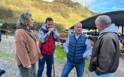 El PP denuncia que el Gobierno de Barbón recorta las ayudas por los ataques del lobo y retrasa su entrega, agravando la crisis de los ganaderos