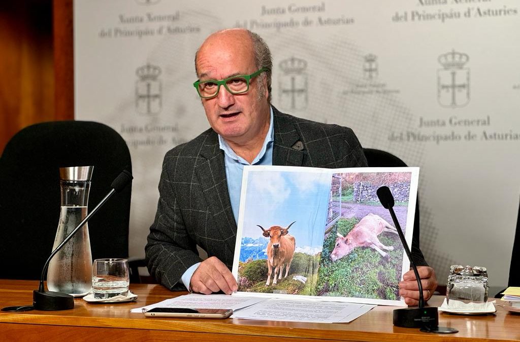 El PP denuncia que Asturias es la única Comunidad que no ha pagado a los ganaderos los anticipos de la PAC y exige el pago inmediato