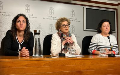 El Partido Popular denuncia la falta de auxiliares educadores que existe en el Colegio Buenavista II de Oviedo