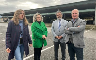 El PP denuncia la hipocresía del Gobierno de Barbón cuando pide al PSOE que saque al lobo del Lespre: “Dejen de reírse en la cara de los ganaderos y de maltratar al campo”