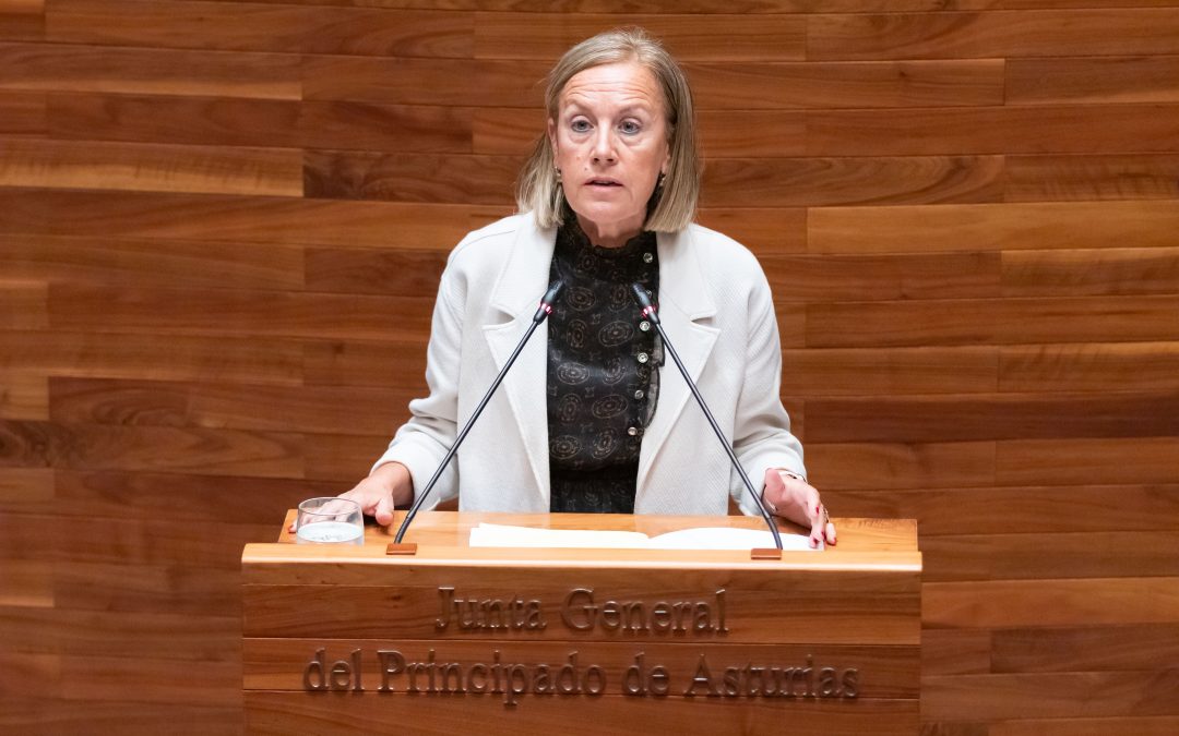 El PP denuncia la incapacidad de la Consejera de Salud para luchar contra las listas de espera, que cada vez están más desbocadas: 110.000 asturianos aguardan por una primera consulta
