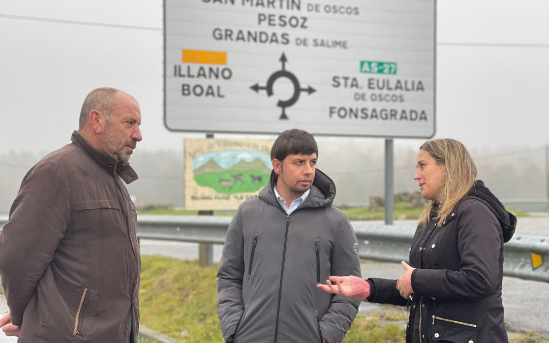 El Partido Popular denuncia el “abandono lamentable” que sufre la AS-394, principal vía de comunicación con Galicia