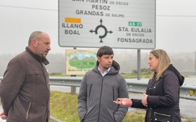 El Partido Popular denuncia el “abandono lamentable” que sufre la AS-394, principal vía de comunicación con Galicia