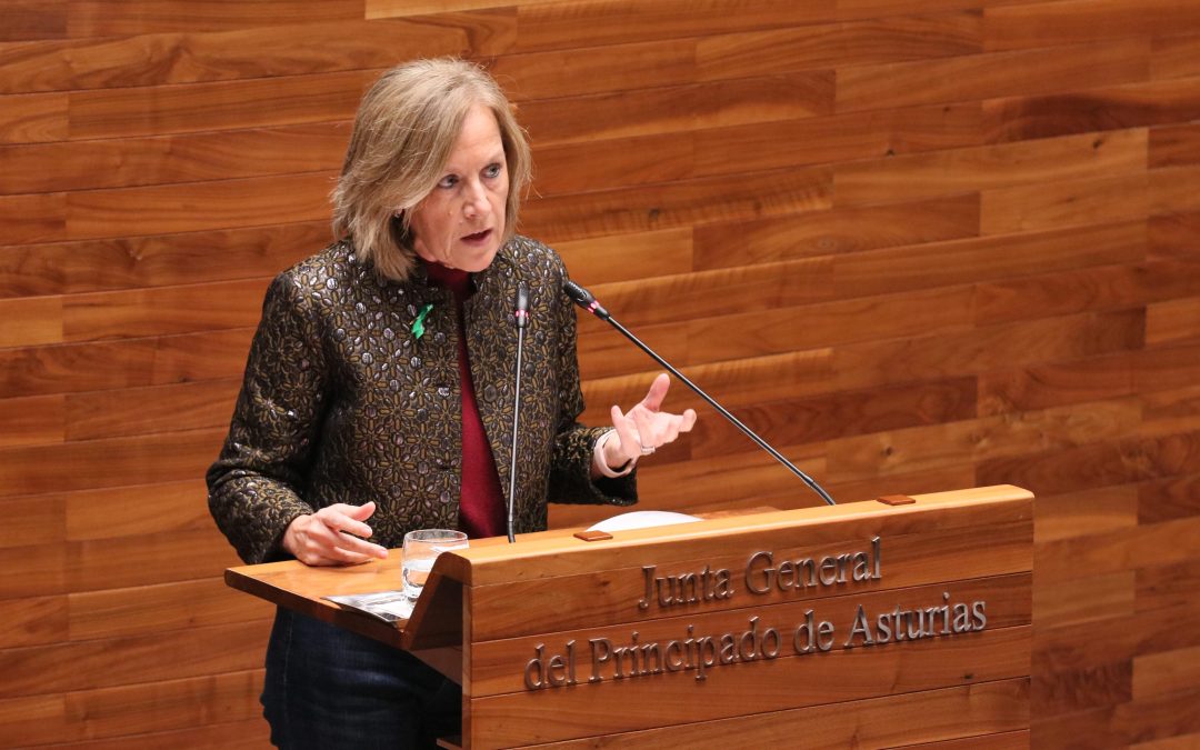 El PP pedirá la creación de una comisión de investigación en la Junta General sobre el Hospital de Cabueñes si la consejera no aclara el martes en el Parlamento el fiasco de la ampliación