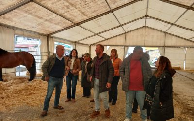 El PP denuncia el “maquillaje político” del Gobierno de Barbón para aparentar lo que no hacen ante los ataques de lobo y las amenazas de Hugo Morán