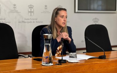 El PP denuncia que el Gobierno de Barbón está incumpliendo los plazos de la ley de Impulso Demográfico y le acusa de usar el mayor desafío de Asturias como simple propaganda