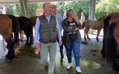 Venta denuncia que la Consejería de Medio Rural está “sin rumbo y superada” ante “una creciente descoordinación” 