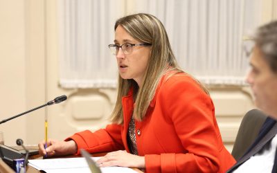 El Partido Popular denuncia que la tarifa rural del Gobierno de Asturias fue un “engaño” y que todavía ningún autónomo ha recibido la ayuda