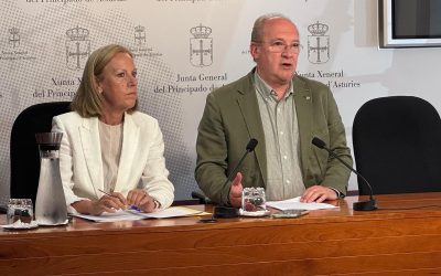 El PP reclama unidad política y una defensa de Asturias “sin ambigüedades” ante la financiación singular a Cataluña