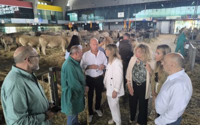 El PP denuncia “la situación precaria” del medio rural asturiano y pide a Barbón que defienda al sector primario y el Gobierno se persone en la causa judicial que pretende volver a proteger al lobo