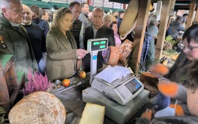 El PP denuncia que la Consejería de Medio Rural “promueve activamente el desmantelamiento del sector ganadero asturiano y pone en riesgo la producción quesera de Cabrales y Gamonéu”