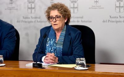 El Partido Popular critica la convocatoria extraordinaria del Consejo Escolar para debatir un manifiesto sobre Gaza