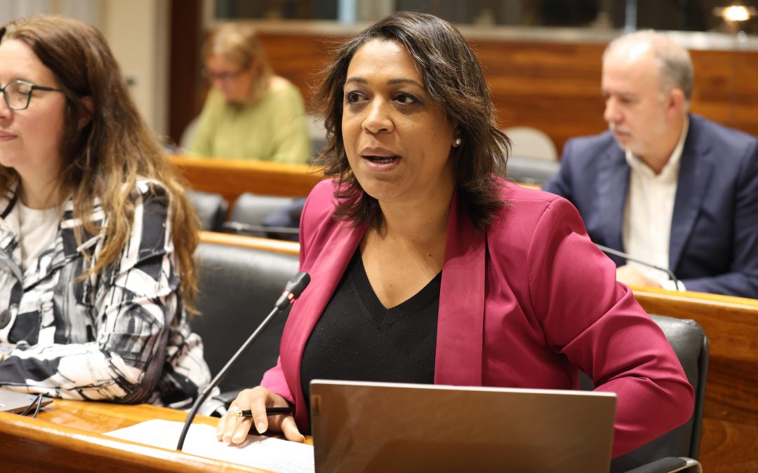 El PP alerta nuevamente sobre la peligrosidad de la senda peatonal de la Plata en Castrillón tras el nuevo accidente ocurrido ayer