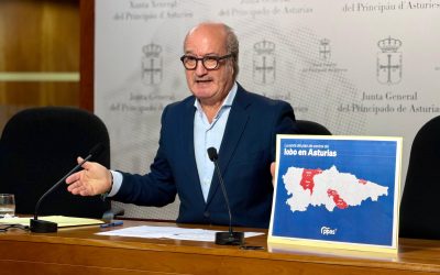 El PP denuncia que el plan de control del lobo del Gobierno de Barbón “es una farsa, con unos datos irrisorios; la actuación del consejero es una indecencia y una desfachatez”