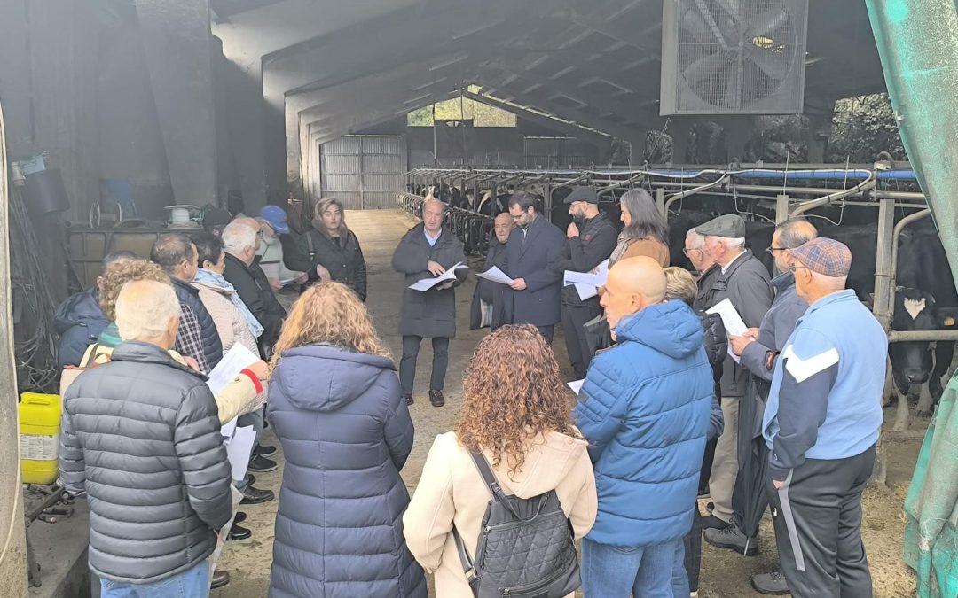 El Partido Popular acusa al Gobierno de Barbón de abandonar a su suerte a los ganaderos de todo el Noroccidente de Asturias: “Es una vergüenza que el lobo campe a sus anchas”