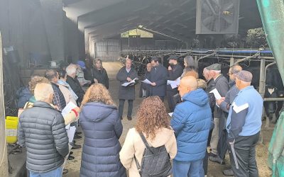 El Partido Popular acusa al Gobierno de Barbón de abandonar a su suerte a los ganaderos de todo el Noroccidente de Asturias: “Es una vergüenza que el lobo campe a sus anchas”