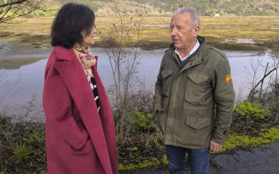 El PP critica que “el ecologismo del Gobierno de Barbón es un simple postureo, igual que lo es el feminismo en el Gobierno de Pedro Sánchez”