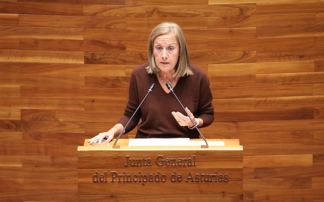 El Partido Popular denuncia la irresponsabilidad del Gobierno en la huelga médica, pide la dimisión de Mónica García y critica la enorme pasividad del Ejecutivo de Barbón