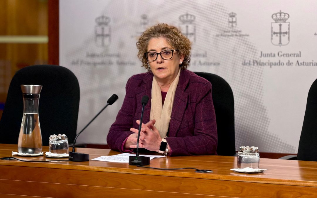 El PP denuncia impagos por parte del Consorcio de Transportes a taxistas encargados del transporte escolar en Asturias