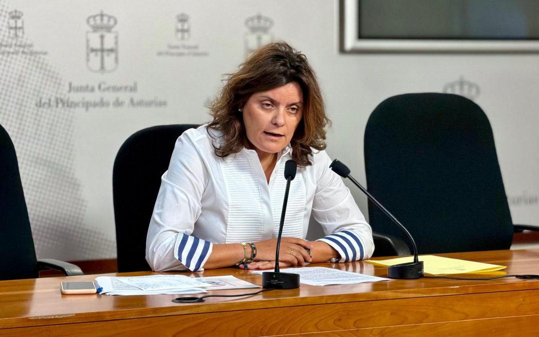 El PP llevará al Pleno de la Junta los impagos del Gobierno de Barbón al Tercer Sector social asturiano