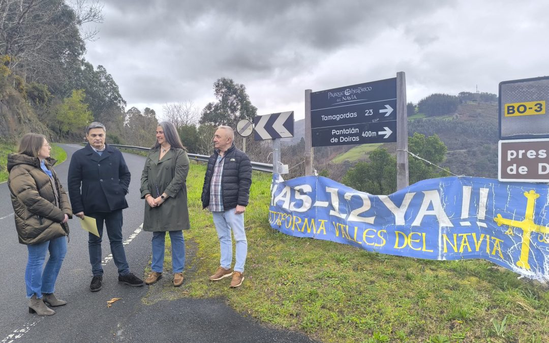 El PP exige explicaciones al Gobierno del Principado tras quedar desierta la licitación de la mejora del tramo entre Doiras (Boal) y Xío (Illano) de la AS-12