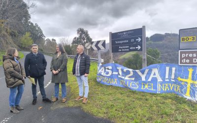 El PP exige explicaciones al Gobierno del Principado tras quedar desierta la licitación de la mejora del tramo entre Doiras (Boal) y Xío (Illano) de la AS-12