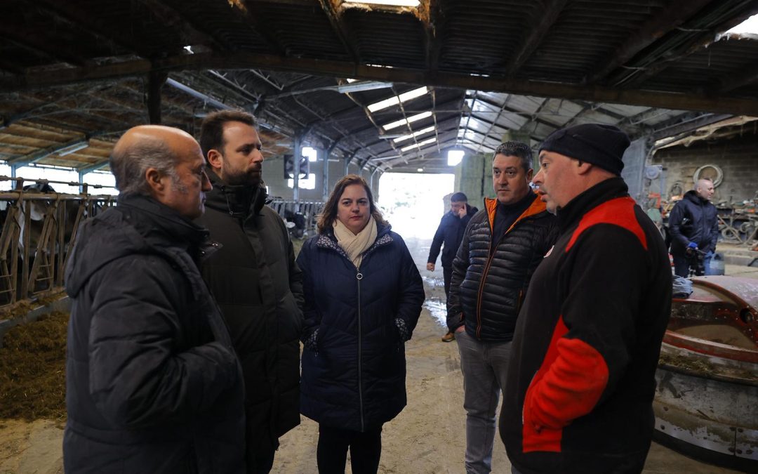 Álvaro Queipo: “No se puede permitir que el lobo siga campando a sus anchas y los ganaderos abandonados; el plan de control tiene que activarse de manera inminente y reforzar las ayudas”