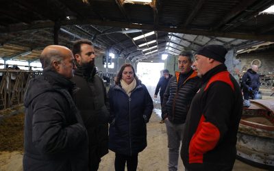 Álvaro Queipo: “No se puede permitir que el lobo siga campando a sus anchas y los ganaderos abandonados; el plan de control tiene que activarse de manera inminente y reforzar las ayudas”