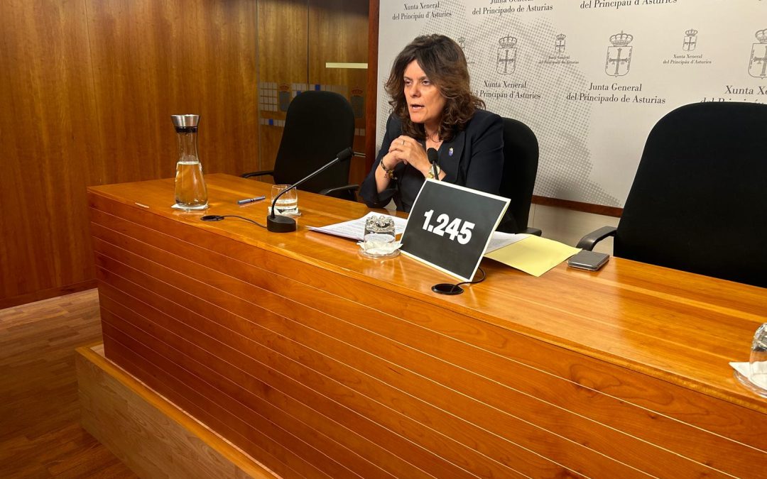 El Partido Popular pide crear un fondo para indemnizar a los familiares de los 1.245 asturianos fallecidos en 2025 en las listas de espera para recibir las ayudas a la dependencia