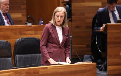 El Partido Popular denuncia la irresponsabilidad del Gobierno en la huelga médica, pide la dimisión de Mónica García y critica la enorme pasividad del Ejecutivo de Barbón