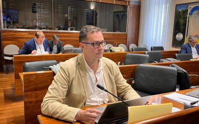 La Junta General respalda la propuesta del PP para un IVA competitivo en las galerías asturianas