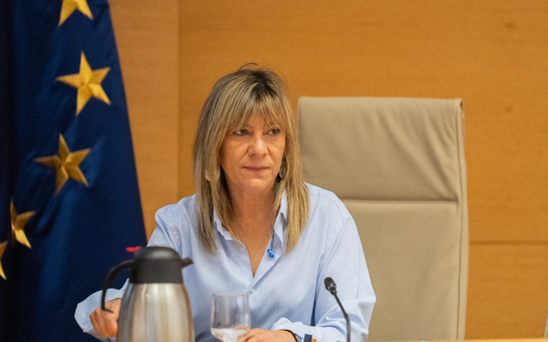 El PP exige explicaciones al PSOE ante las “inquietantes coincidencias” entre la trama Sepides, en la macrocausa de corrupción socialista, y el contrato de La Muralla adjudicado a Erri-Berri
