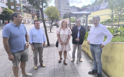 El PP exige a Barbón que ponga fecha “ya” a la vuelta del búho en la Cuenca del Nalón tras “tres meses de suspensión y ninguna respuesta”