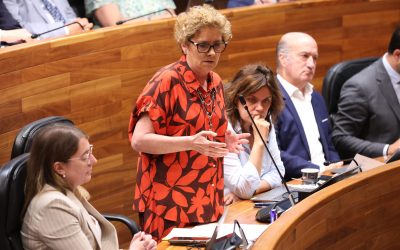 El PP denuncia que el Gobierno de Barbón culpe a los opositores al Cuerpo de Maestros en lugar de asumir responsabilidades