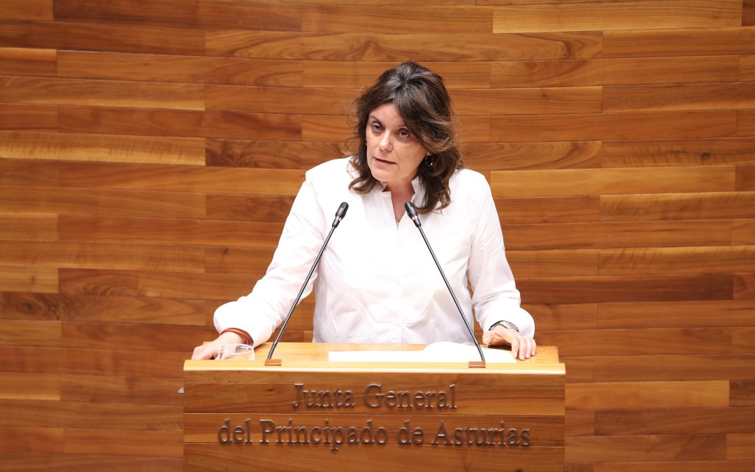 El Partido Popular exige “transparencia” al Gobierno de Barbón sobre el posible alojamiento de menores extranjeros no acompañados en La Florida