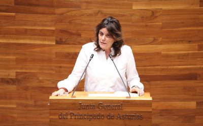 El Partido Popular exige “transparencia” al Gobierno de Barbón sobre el posible alojamiento de menores extranjeros no acompañados en La Florida