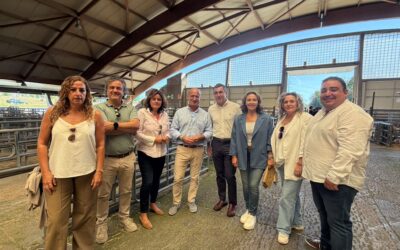 El PP exige a Barbón que active ayudas directas para los ganaderos asturianos afectados por los efectos de la sequía
